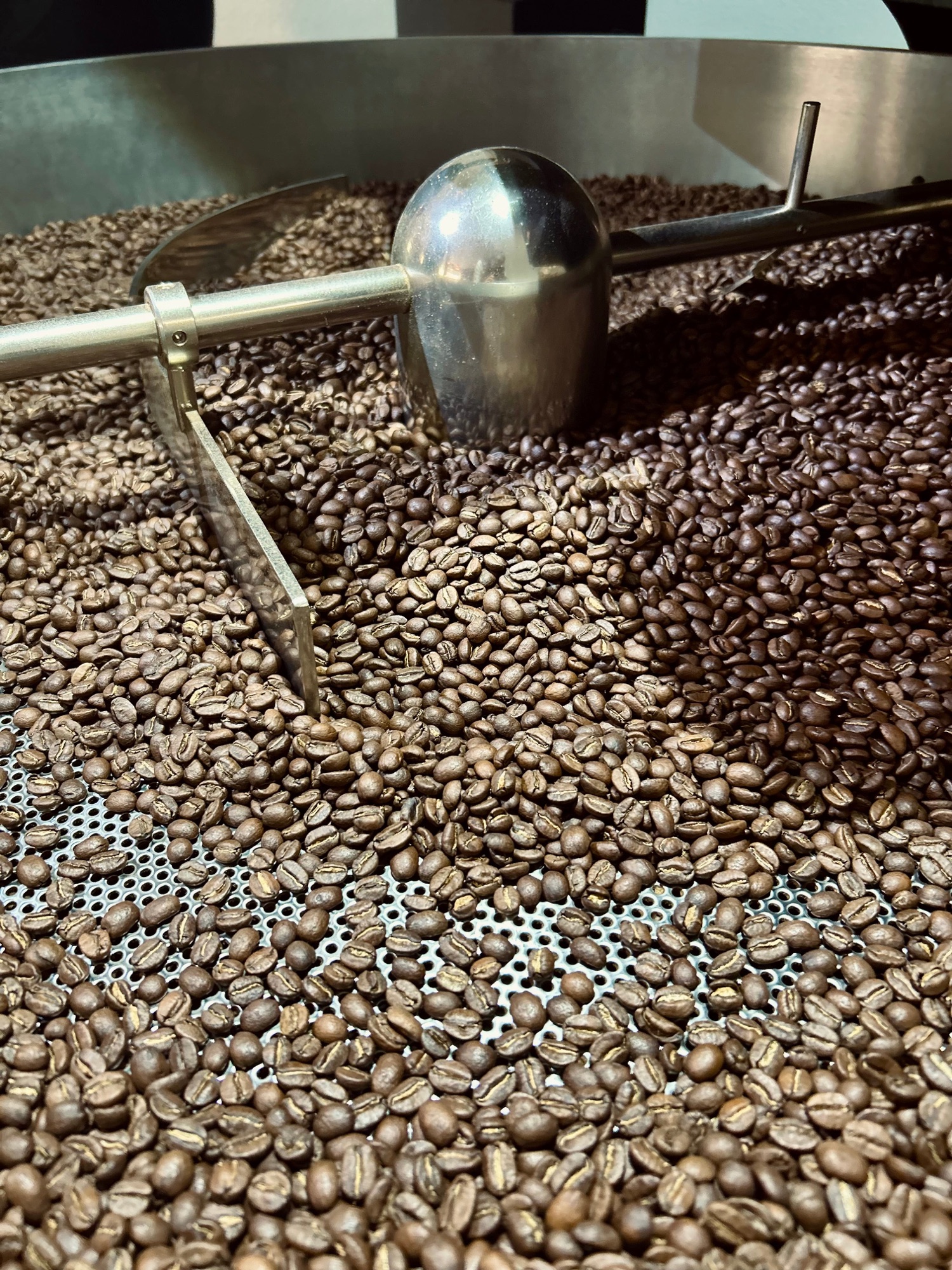 Frisch geröstete Kaffeebohnen in der Kühlung des Rösters